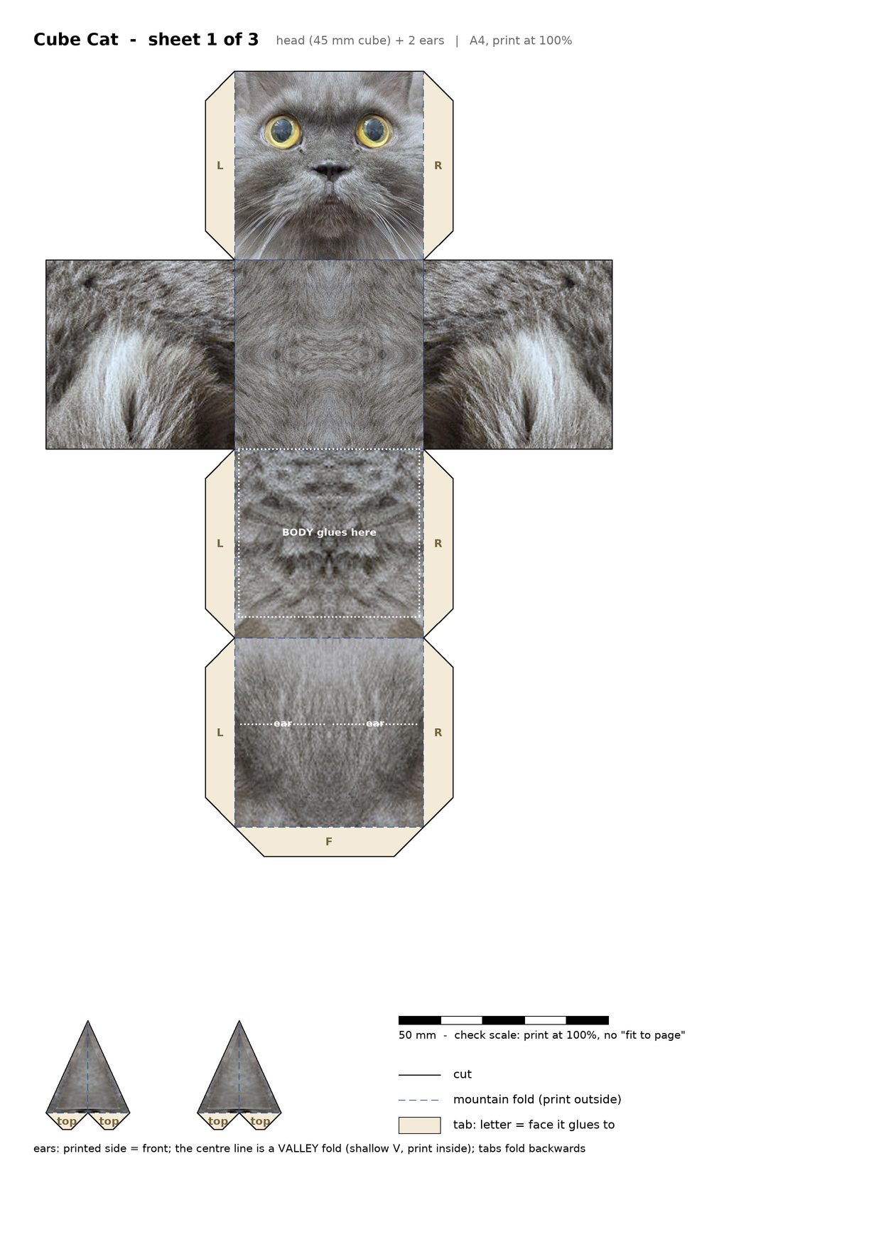 Sheet 1: head net and two ears